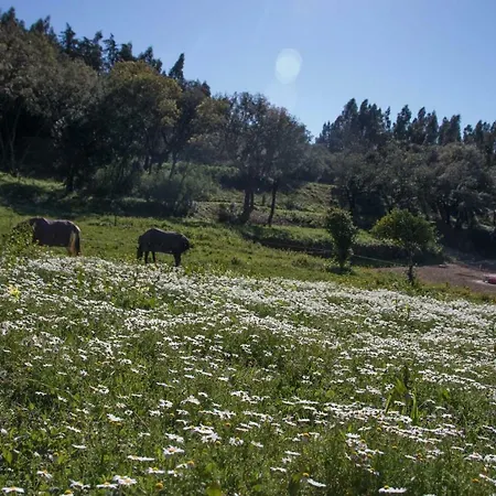 Quinta Do Vale Formoso *
